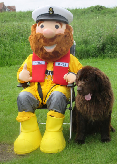 The RNLI's Stormy Stan with Stanley the Newfoundland, 12/6/16