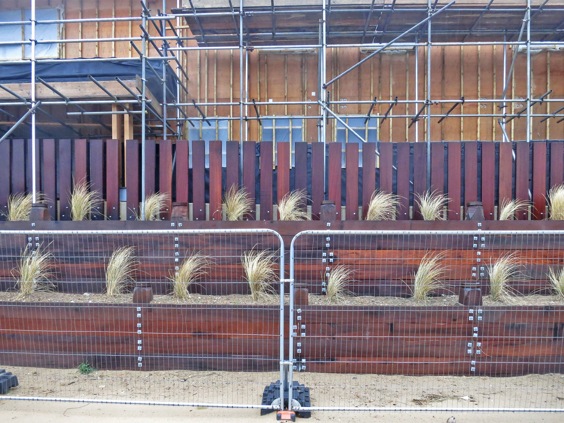 Terracing planted with marram grass donated by the RSPB