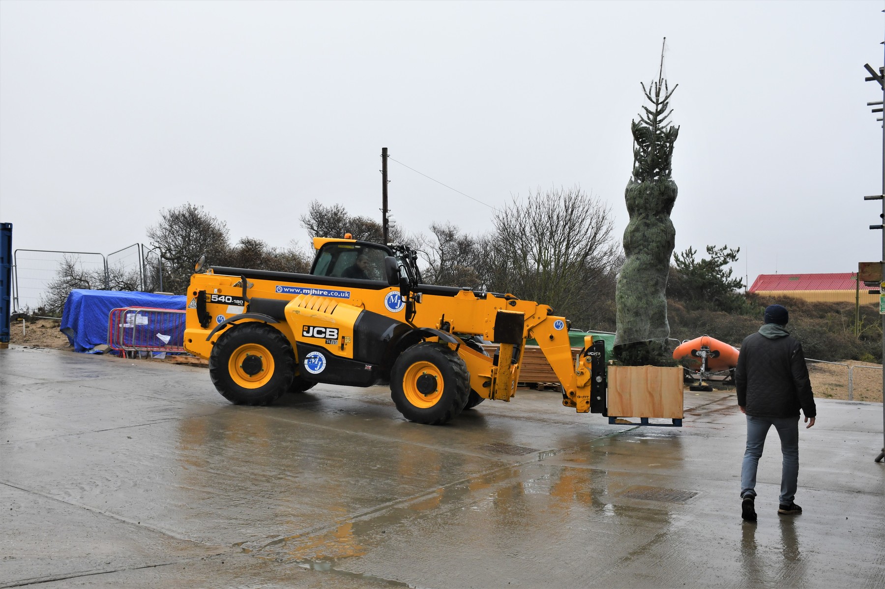 Christmas tree being moved into position