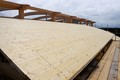 Timber roof in place for ILB shed