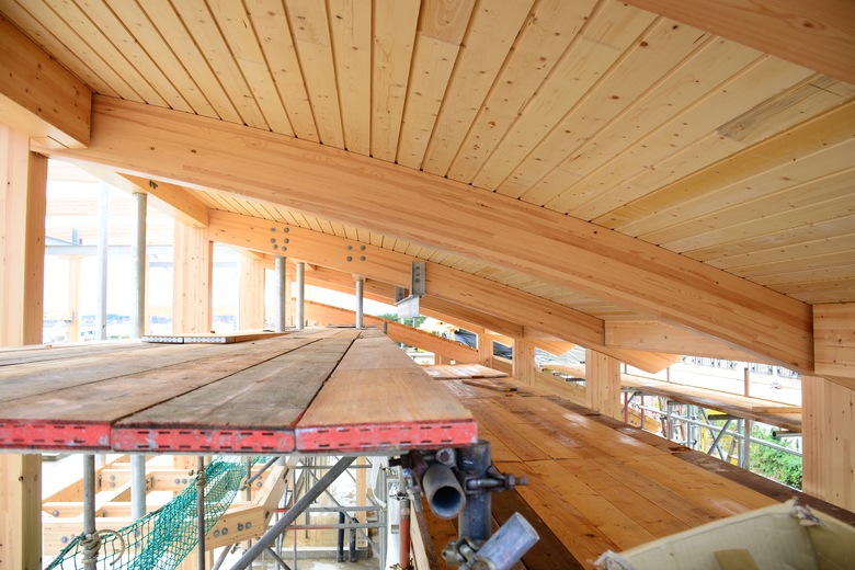 Timber roof viewed from inside