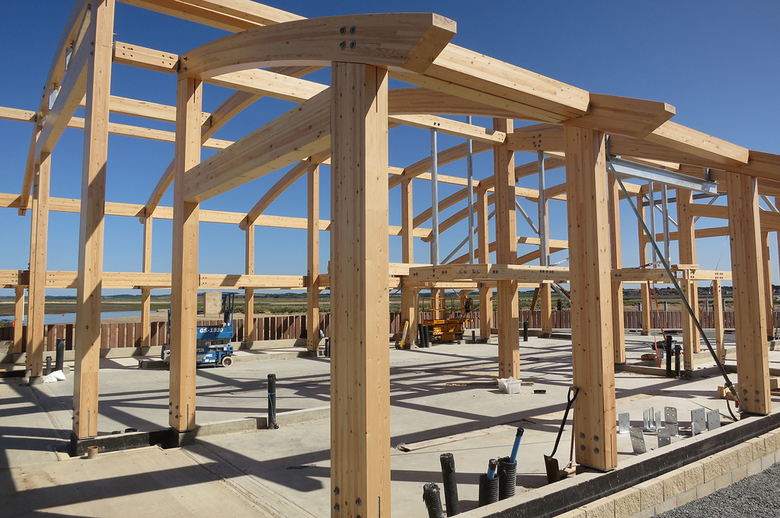 Suspended platform for public viewing gallery in place