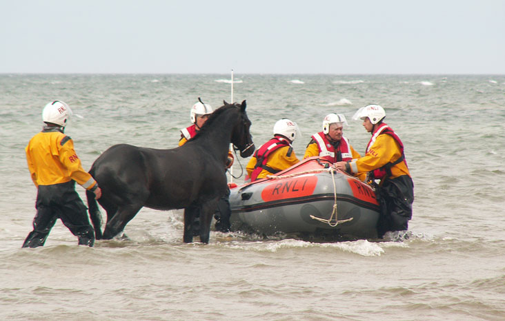 Coming ashore