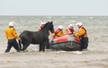 Coming ashore