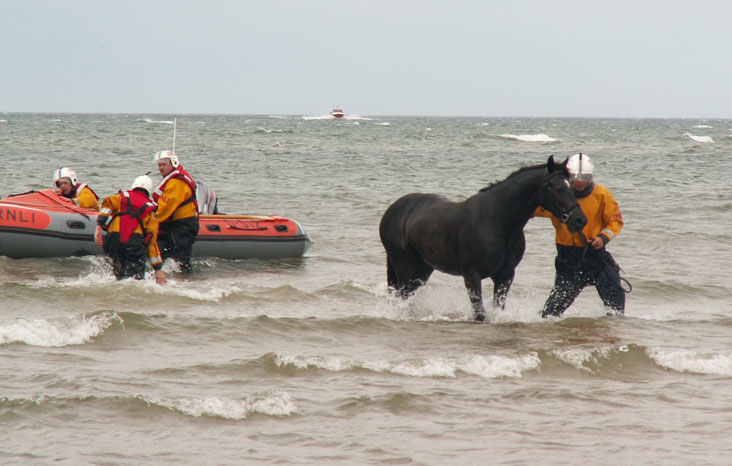 Coming ashore