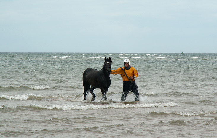 Coming ashore