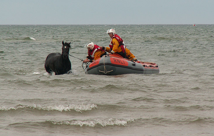 Coming ashore