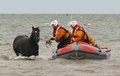 Coming ashore