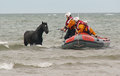 Coming ashore