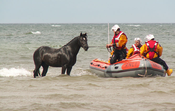 Coming ashore