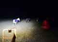 Horses being led off Scolt Head island, 13/10/15