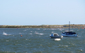 Norfolk Superhero challenge 2015 - 1 mile swim in a choppy harbour channel