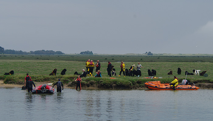 The inshore lifeboat with the Newfoundland dog display at the quayside, 12/6/16